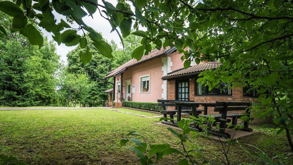 Nika Hotell Čatrnja Exteriör bild