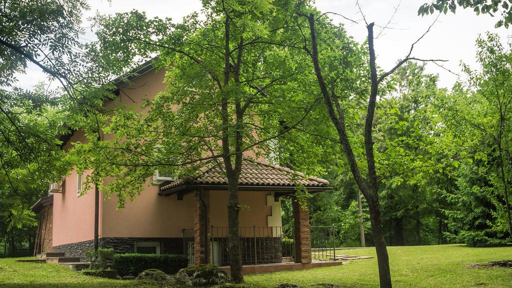 Nika Hotell Čatrnja Exteriör bild