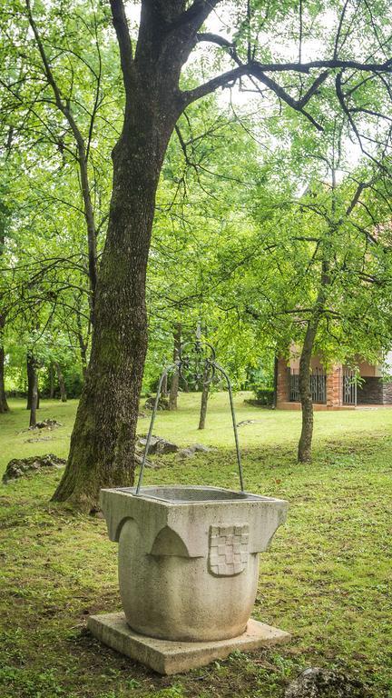 Nika Hotell Čatrnja Exteriör bild